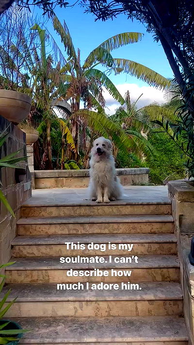 bakedsloths bakedsloths archive video