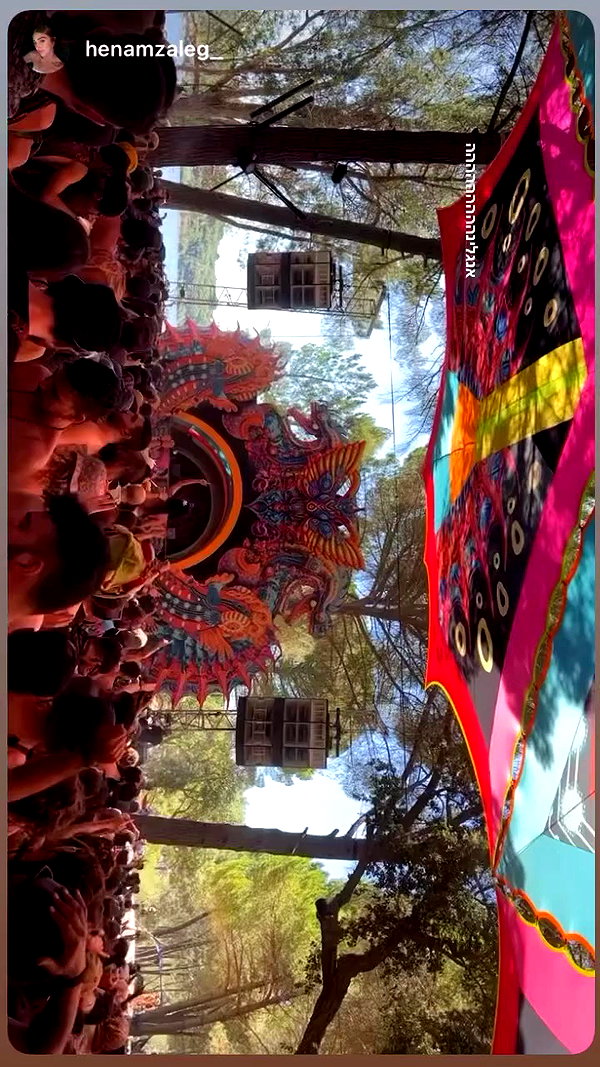 _lironatias archive video preview