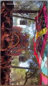 _lironatias Altpins Profile Picture