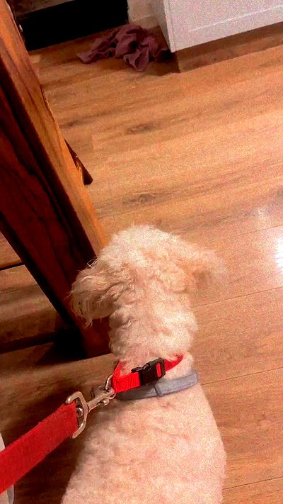 feelbetterinmysweater feelbetterinmysweater archive video