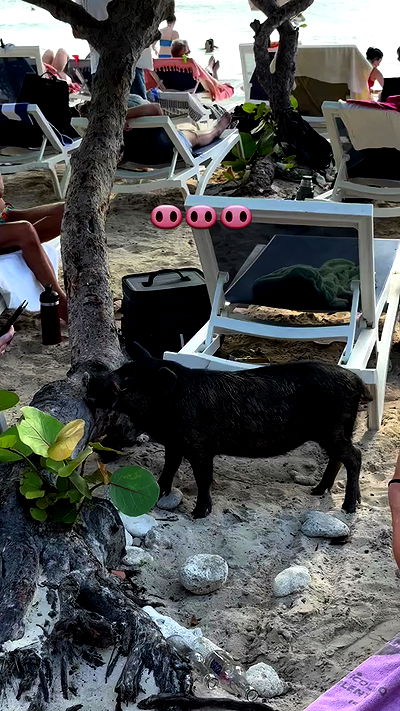 shunli__mei shunli__mei archive video