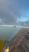 dianavgalvis Altpins Profile Picture