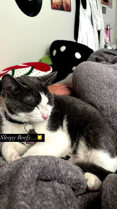 tatum.ricee tatum.ricee archive video