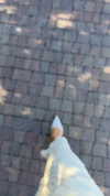 alinaaignatova Altpins Profile Picture