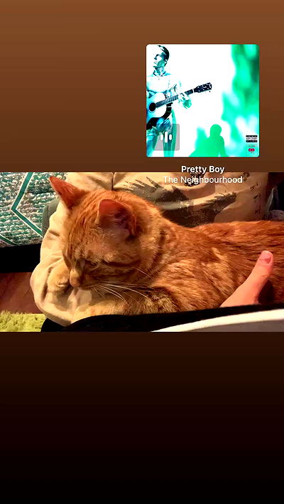 winbun.io winbun.io archive video