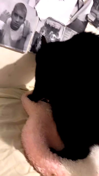 hellokittyangel666 hellokittyangel666 archive video