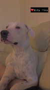 __yaheli_ Altpins Profile Picture