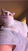 newpoort Altpins Profile Picture