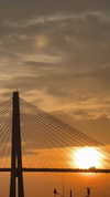 ngha_nhi Altpins Profile Picture