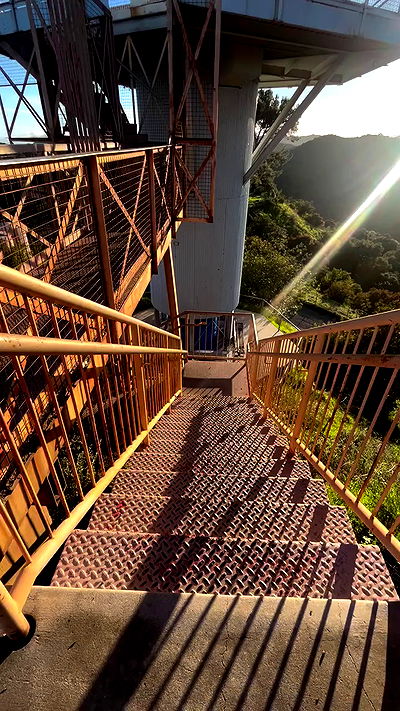 zommmbri zommmbri archive video