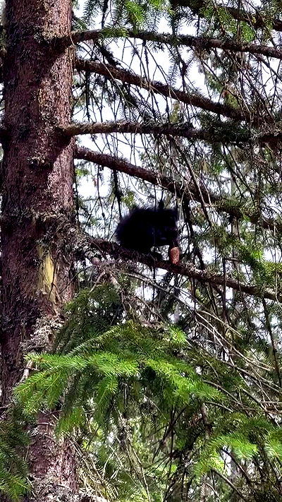 itsilanosh itsilanosh archive video