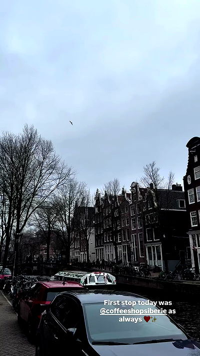 bakedsloths bakedsloths archive video