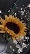 18sandy_ Altpins Profile Picture