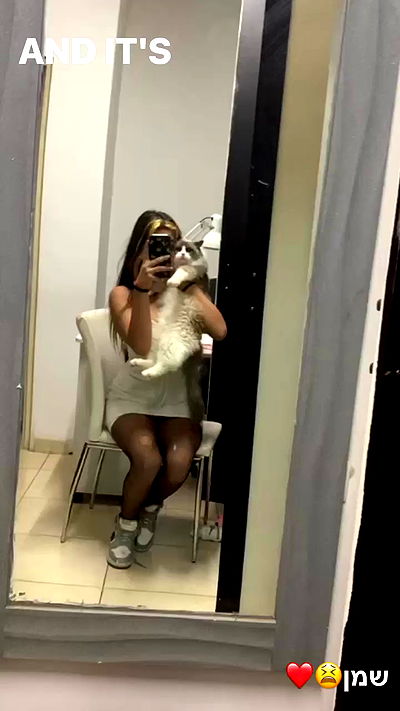 simp_for_cats_ simp_for_cats_ archive video