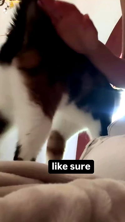 dracuina dracuina archive video