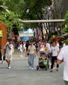 belok_bero Altpins Profile Picture
