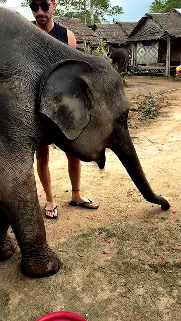 noammalka___ archive video preview