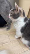 zoe.glover Altpins Profile Picture