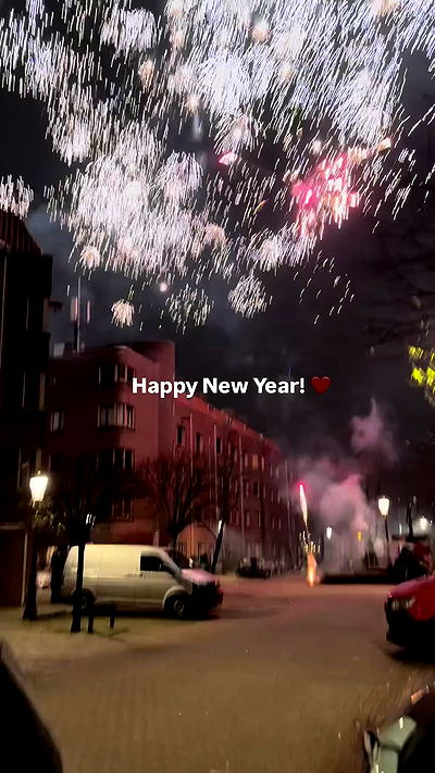 bakedsloths bakedsloths archive video