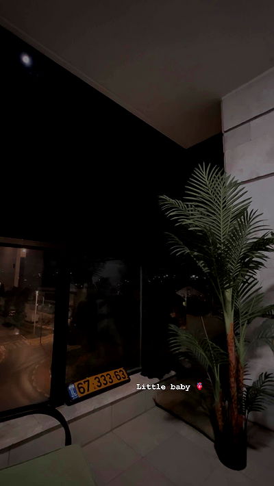 rebecka_tsadok rebecka_tsadok archive video