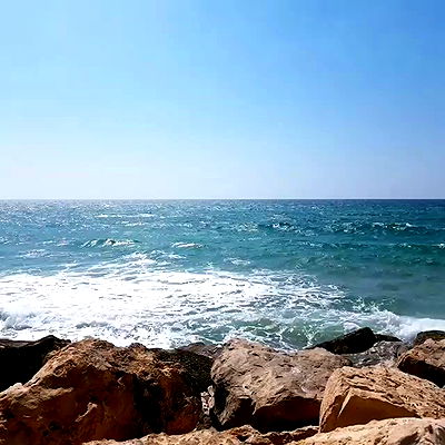 yam_adler yam_adler archive video