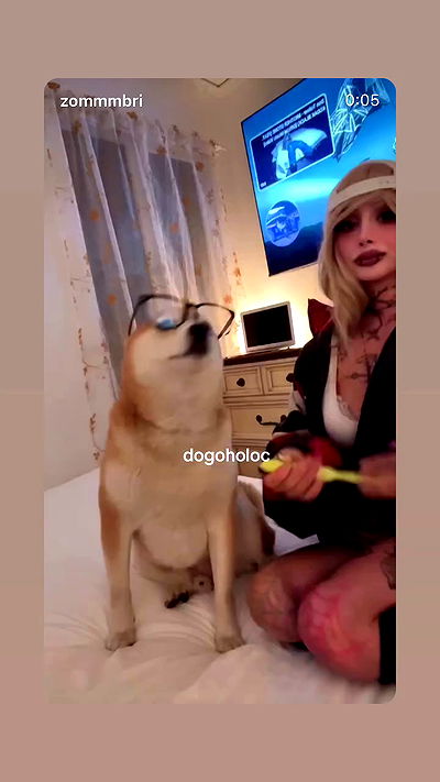 zommmbri zommmbri archive video