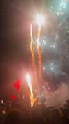diana_polin Altpins Profile Picture