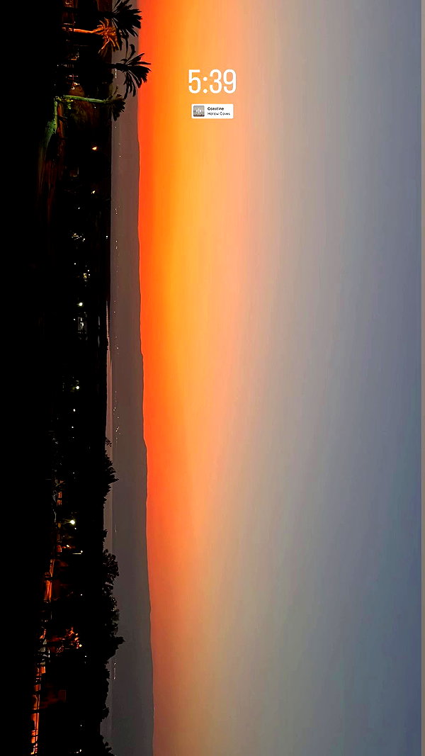 shirpeleg._ archive video preview