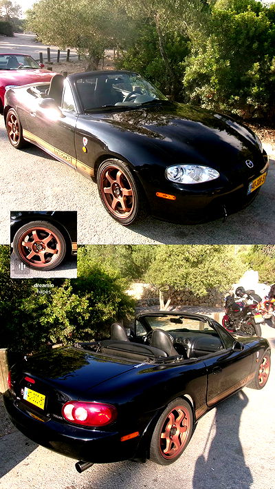 simp_for_cats_ simp_for_cats_ archive video