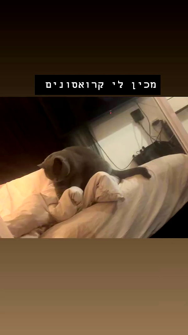 romxcohen archive video preview