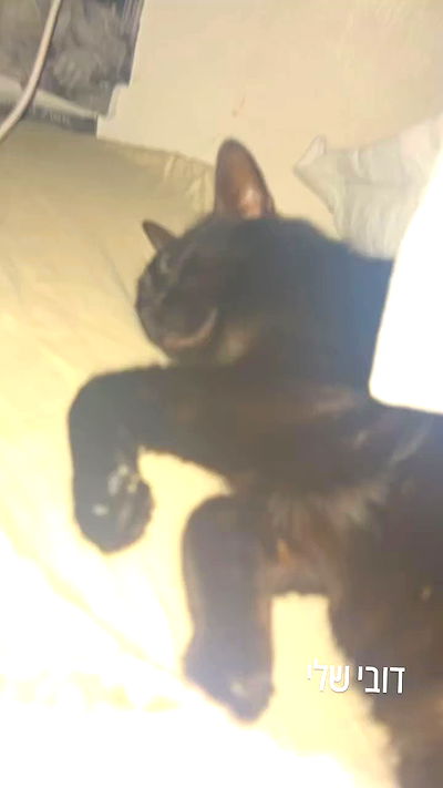 hellokittyangel666 hellokittyangel666 archive video