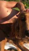 greta.m_ Altpins Profile Picture