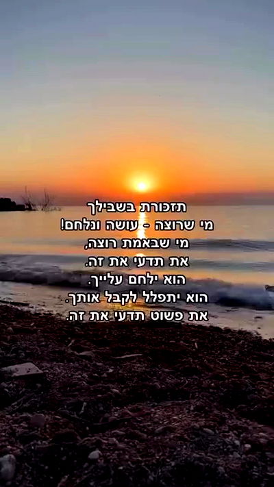 _lil_noa_ _lil_noa_ archive video