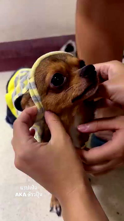 oqr0_ oqr0_ archive video