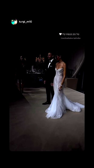 roni.benshushan roni.benshushan archive video