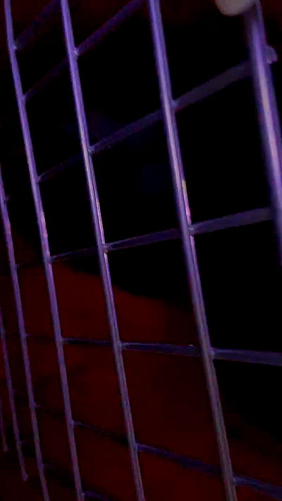 feelbetterinmysweater feelbetterinmysweater archive video