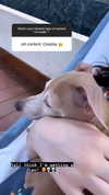 1kyle8_ Altpins Profile Picture