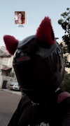 jessielbazz Altpins Profile Picture