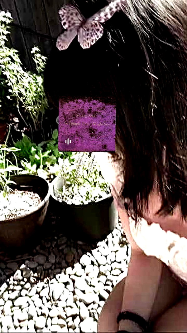 d0lli.ii archive video preview