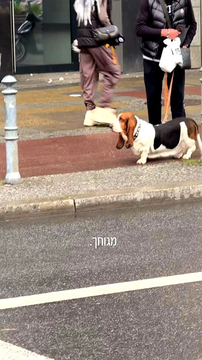 yannaidebeer yannaidebeer archive video