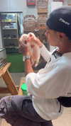 or_hasid Altpins Profile Picture