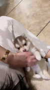 jailyneojeda Altpins Profile Picture