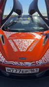 chebotarev_evgeny Altpins Profile Picture