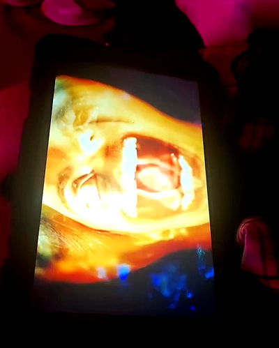 shayli_or shayli_or archive video