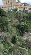 _mashachka_ Altpins Profile Picture