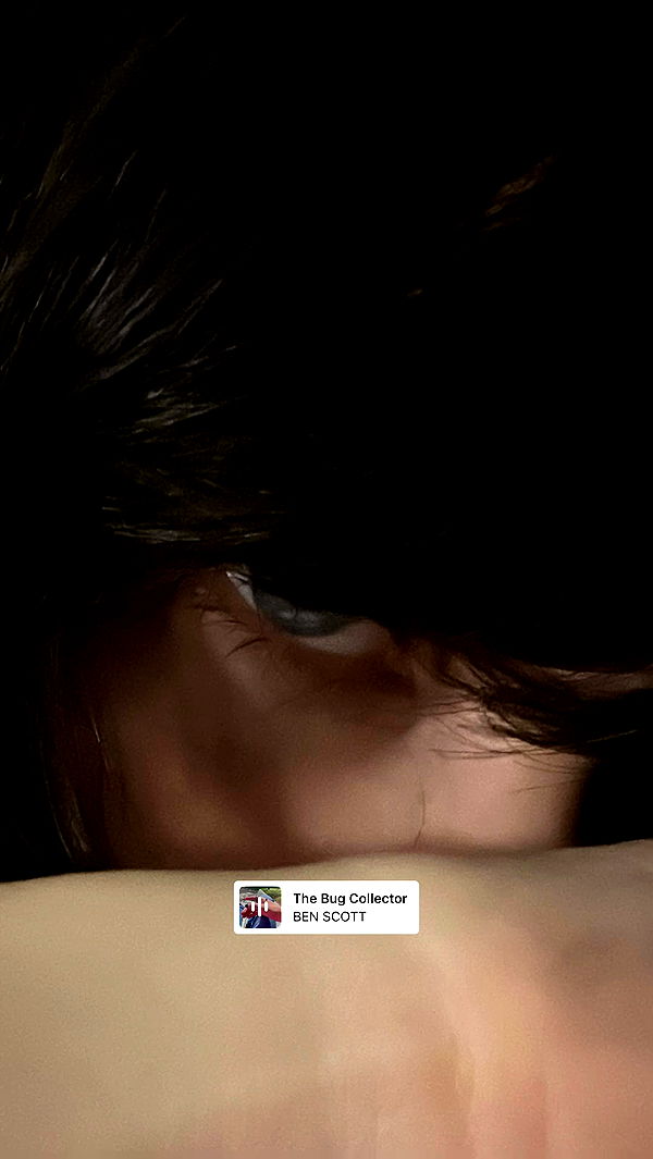 moonliliaght archive video preview