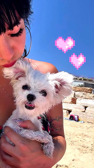 yam_adler yam_adler archive video