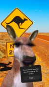 kalogeraseliana Altpins Profile Picture