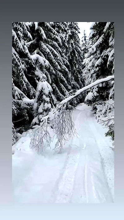 jaroslava_klavir jaroslava_klavir archive video