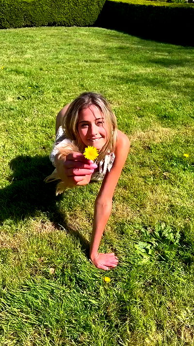 bakedsloths bakedsloths archive video